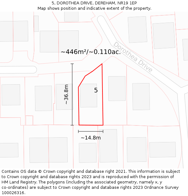 5, DOROTHEA DRIVE, DEREHAM, NR19 1EP: Plot and title map