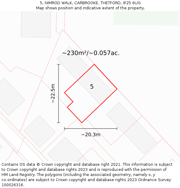 5, NIMROD WALK, CARBROOKE, THETFORD, IP25 6UG: Plot and title map