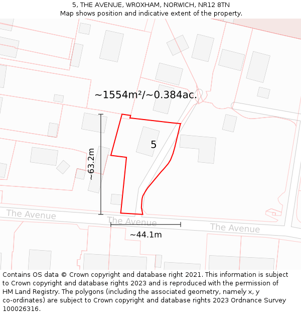 5, THE AVENUE, WROXHAM, NORWICH, NR12 8TN: Plot and title map