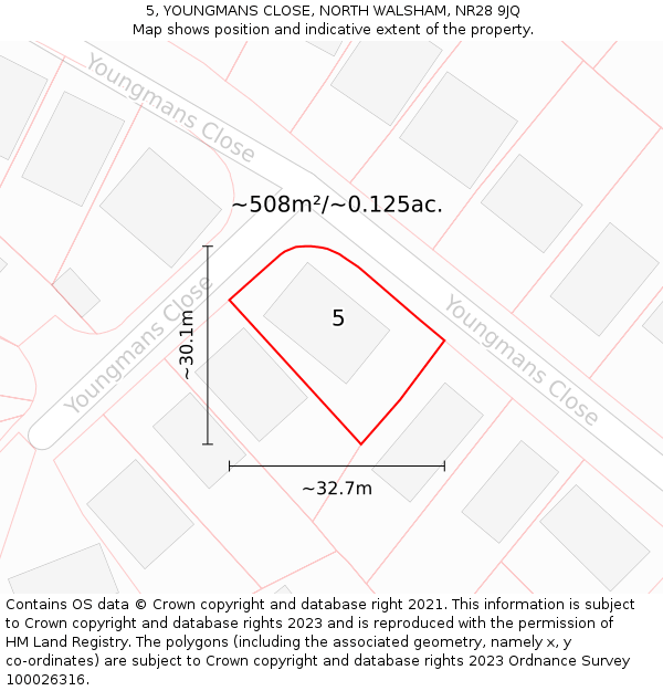 5, YOUNGMANS CLOSE, NORTH WALSHAM, NR28 9JQ: Plot and title map