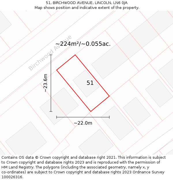 51, BIRCHWOOD AVENUE, LINCOLN, LN6 0JA: Plot and title map