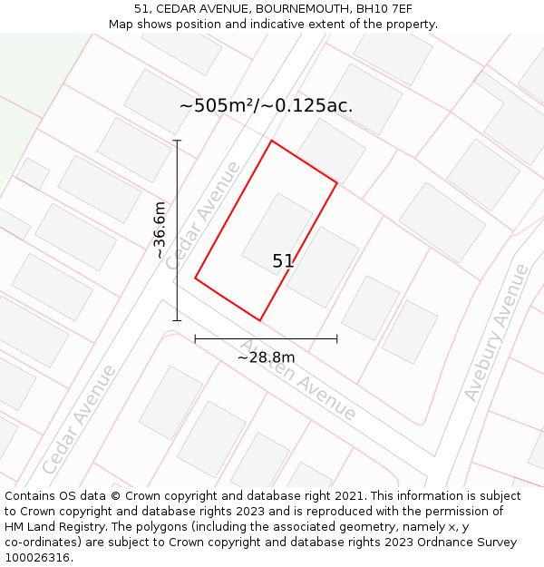 51, CEDAR AVENUE, BOURNEMOUTH, BH10 7EF: Plot and title map