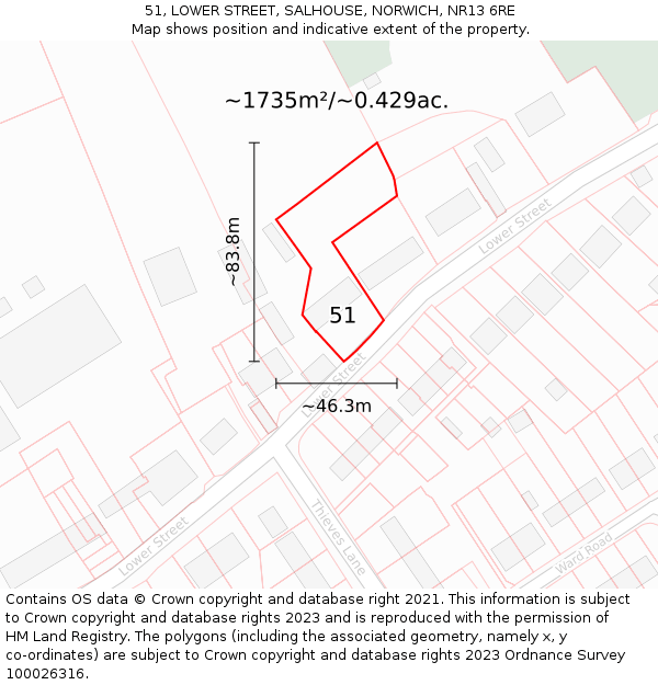 51, LOWER STREET, SALHOUSE, NORWICH, NR13 6RE: Plot and title map