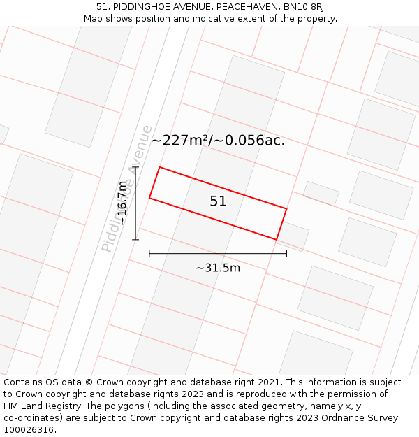 51, PIDDINGHOE AVENUE, PEACEHAVEN, BN10 8RJ: Plot and title map