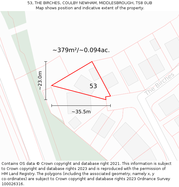 53, THE BIRCHES, COULBY NEWHAM, MIDDLESBROUGH, TS8 0UB: Plot and title map