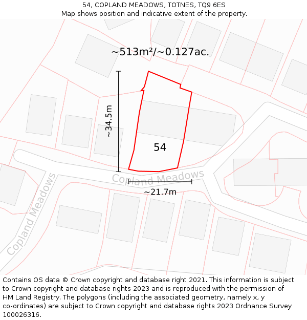 54, COPLAND MEADOWS, TOTNES, TQ9 6ES: Plot and title map