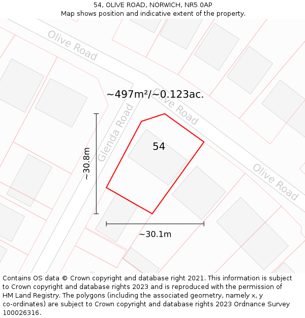 54, OLIVE ROAD, NORWICH, NR5 0AP: Plot and title map