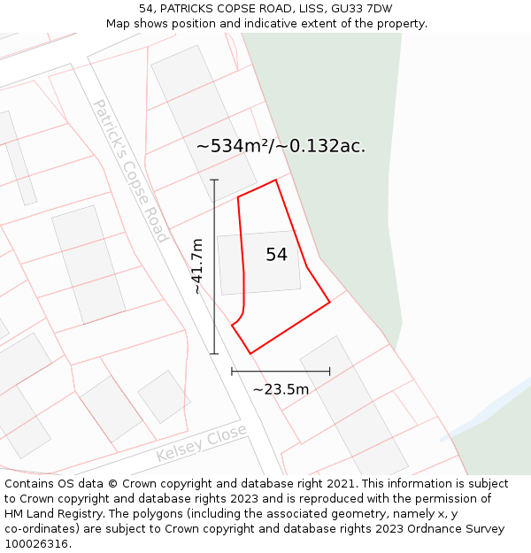 54, PATRICKS COPSE ROAD, LISS, GU33 7DW: Plot and title map