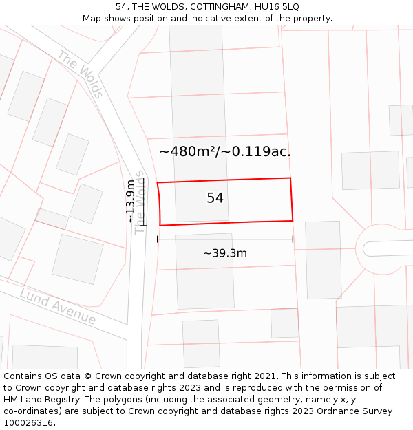 54, THE WOLDS, COTTINGHAM, HU16 5LQ: Plot and title map