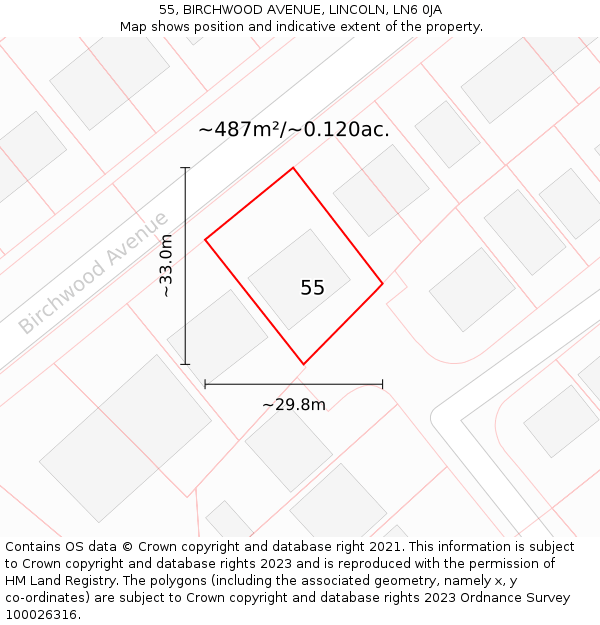 55, BIRCHWOOD AVENUE, LINCOLN, LN6 0JA: Plot and title map