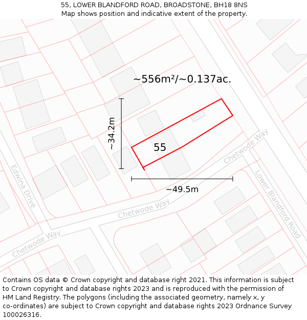 55, LOWER BLANDFORD ROAD, BROADSTONE, BH18 8NS: Plot and title map