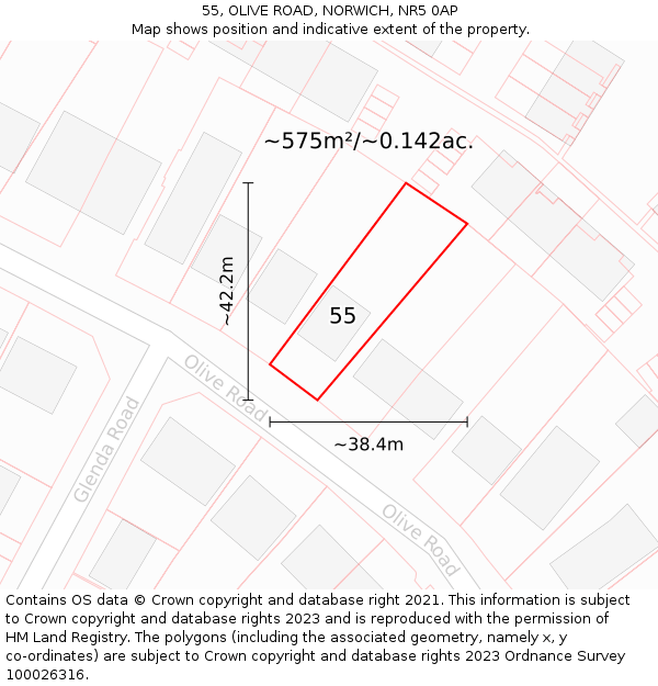 55, OLIVE ROAD, NORWICH, NR5 0AP: Plot and title map