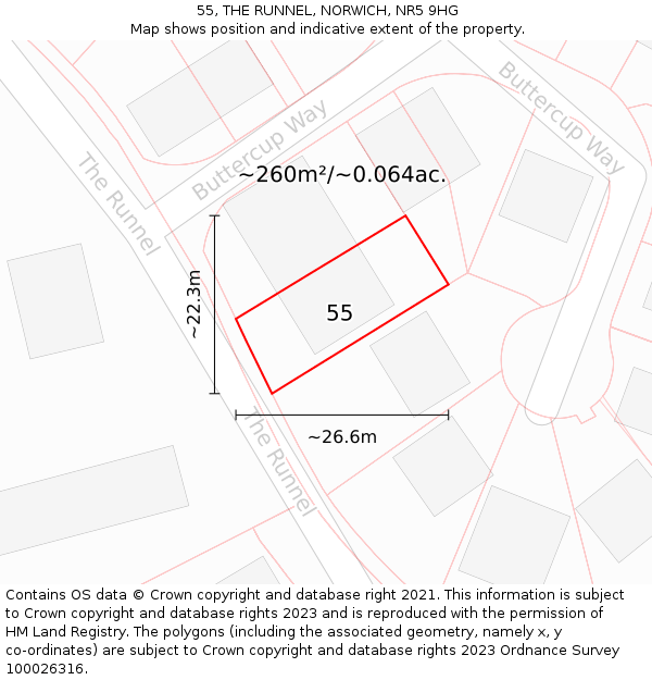 55, THE RUNNEL, NORWICH, NR5 9HG: Plot and title map