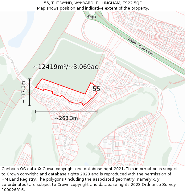 55, THE WYND, WYNYARD, BILLINGHAM, TS22 5QE: Plot and title map