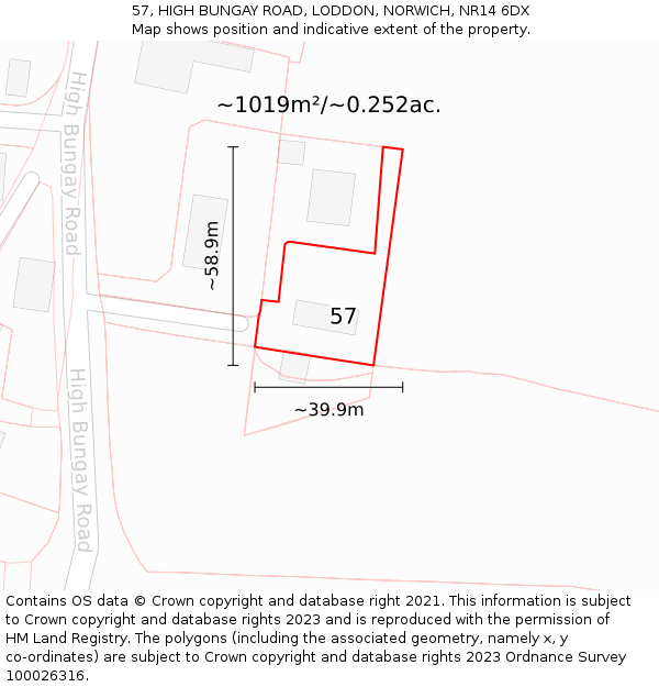 57, HIGH BUNGAY ROAD, LODDON, NORWICH, NR14 6DX: Plot and title map