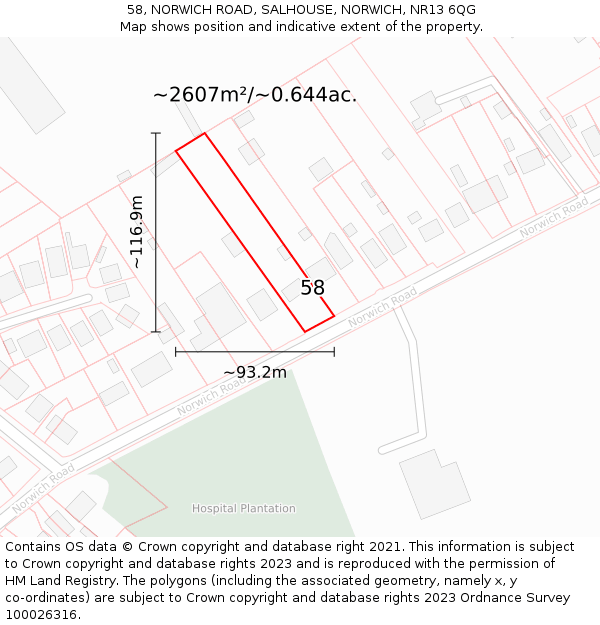 58, NORWICH ROAD, SALHOUSE, NORWICH, NR13 6QG: Plot and title map