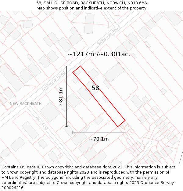 58, SALHOUSE ROAD, RACKHEATH, NORWICH, NR13 6AA: Plot and title map