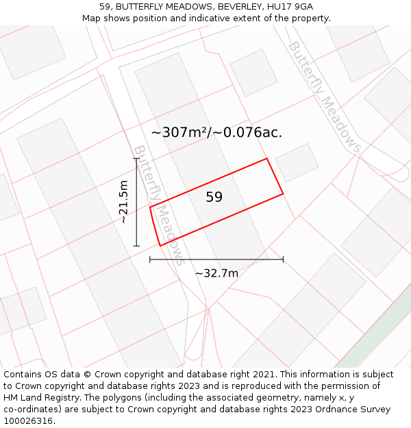 59, BUTTERFLY MEADOWS, BEVERLEY, HU17 9GA: Plot and title map