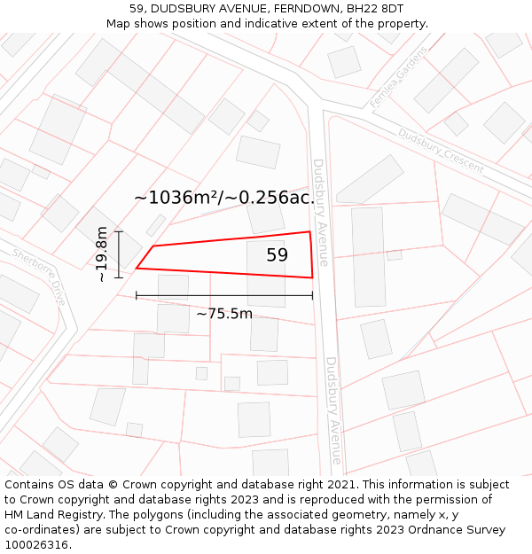 59, DUDSBURY AVENUE, FERNDOWN, BH22 8DT: Plot and title map