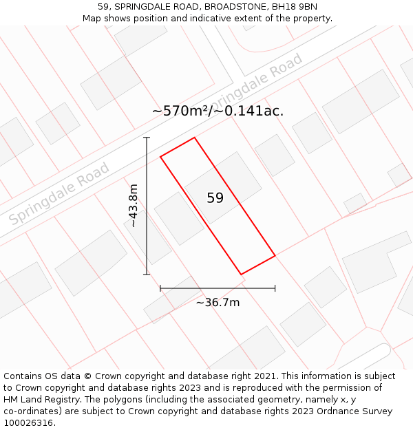 59, SPRINGDALE ROAD, BROADSTONE, BH18 9BN: Plot and title map