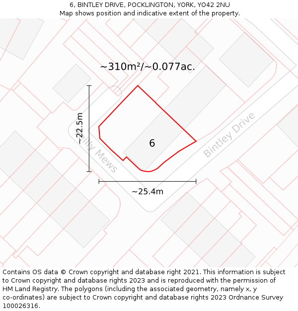 6, BINTLEY DRIVE, POCKLINGTON, YORK, YO42 2NU: Plot and title map