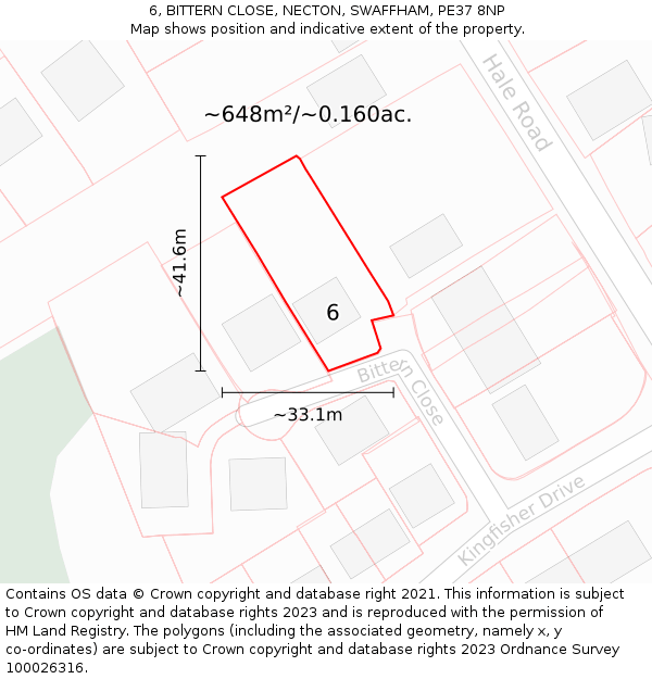 6, BITTERN CLOSE, NECTON, SWAFFHAM, PE37 8NP: Plot and title map