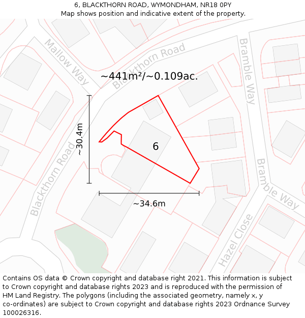 6, BLACKTHORN ROAD, WYMONDHAM, NR18 0PY: Plot and title map