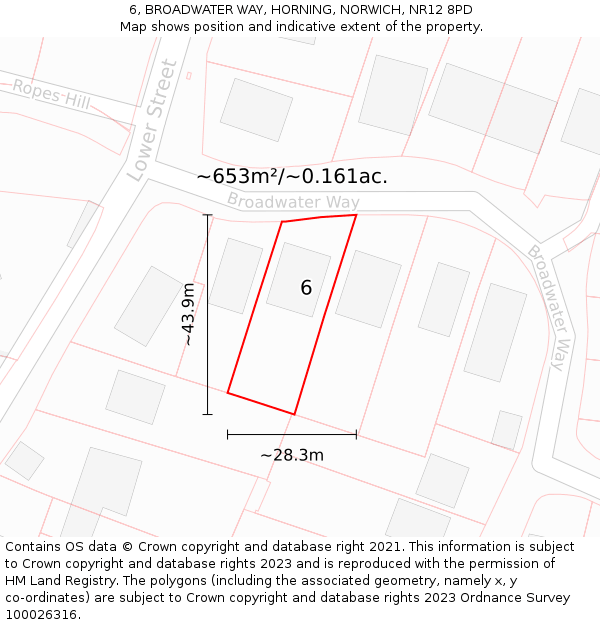 6, BROADWATER WAY, HORNING, NORWICH, NR12 8PD: Plot and title map