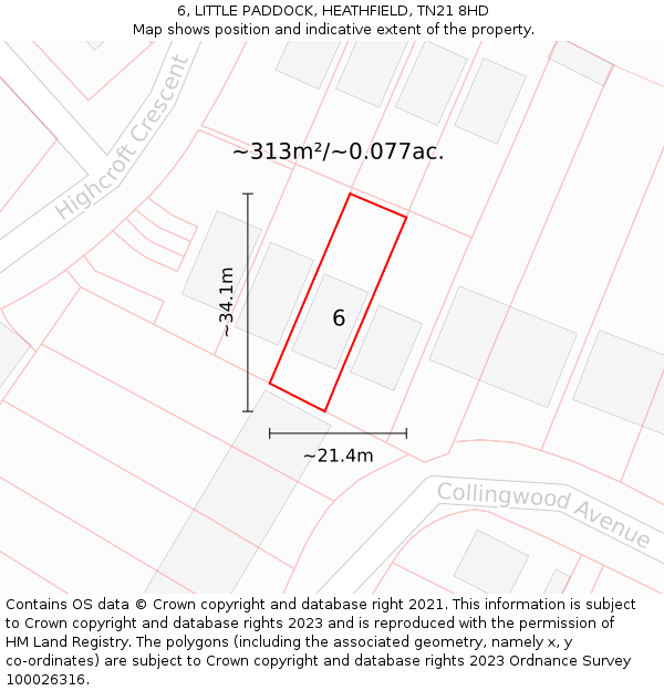 6, LITTLE PADDOCK, HEATHFIELD, TN21 8HD: Plot and title map