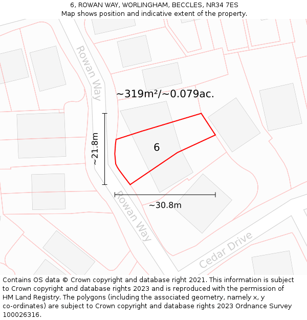 6, ROWAN WAY, WORLINGHAM, BECCLES, NR34 7ES: Plot and title map