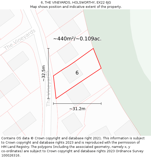 6, THE VINEYARDS, HOLSWORTHY, EX22 6JG: Plot and title map