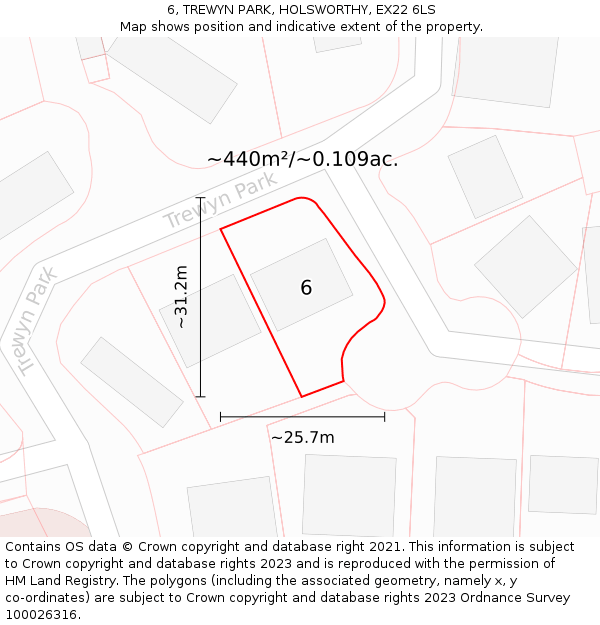 6, TREWYN PARK, HOLSWORTHY, EX22 6LS: Plot and title map