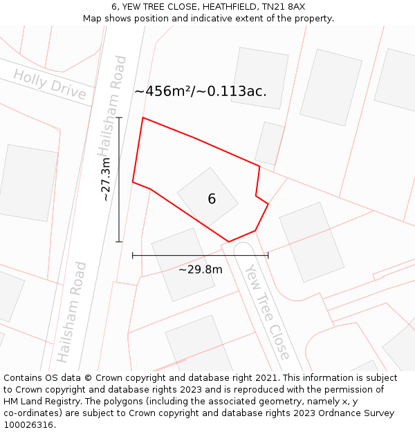 6, YEW TREE CLOSE, HEATHFIELD, TN21 8AX: Plot and title map