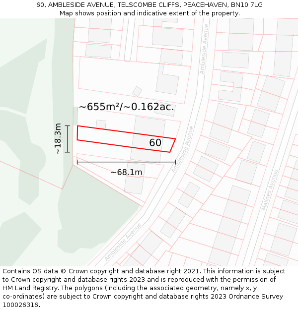 60, AMBLESIDE AVENUE, TELSCOMBE CLIFFS, PEACEHAVEN, BN10 7LG: Plot and title map