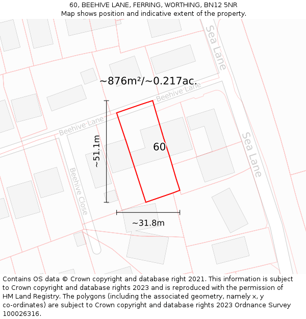 60, BEEHIVE LANE, FERRING, WORTHING, BN12 5NR: Plot and title map