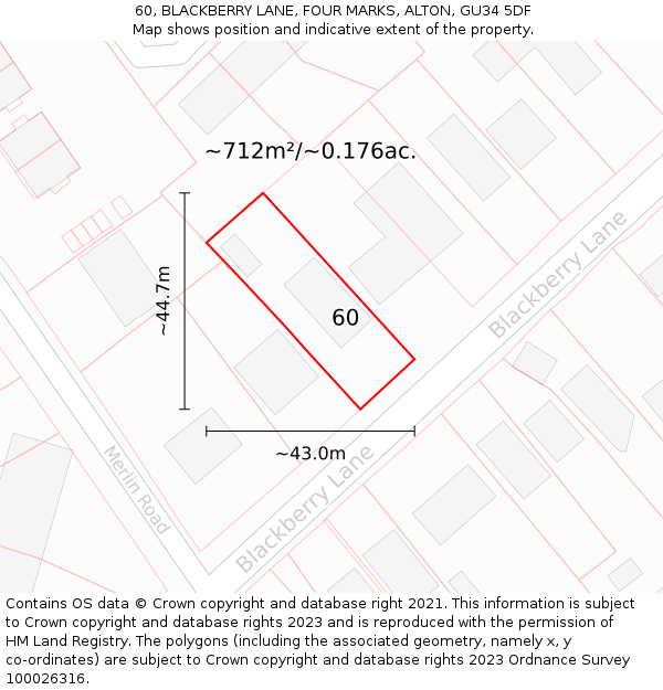 60, BLACKBERRY LANE, FOUR MARKS, ALTON, GU34 5DF: Plot and title map