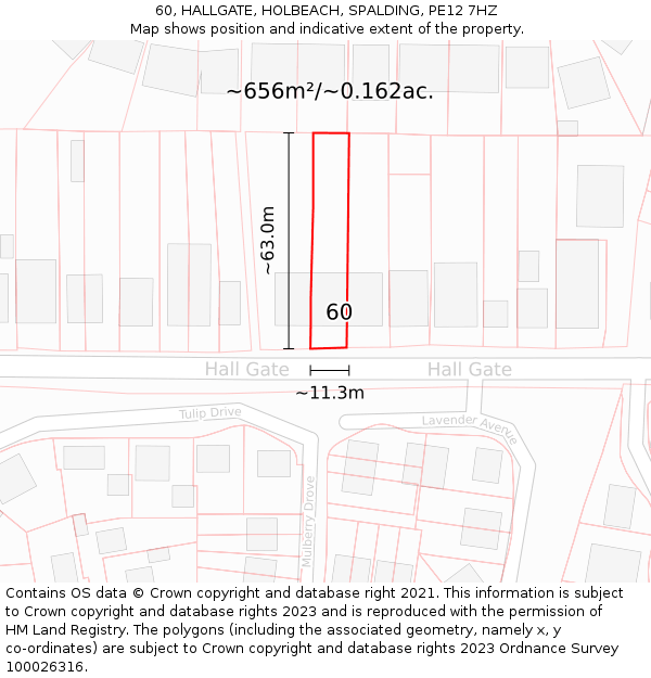 60, HALLGATE, HOLBEACH, SPALDING, PE12 7HZ: Plot and title map