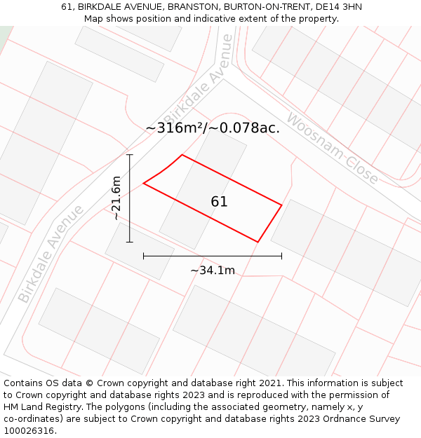 61, BIRKDALE AVENUE, BRANSTON, BURTON-ON-TRENT, DE14 3HN: Plot and title map