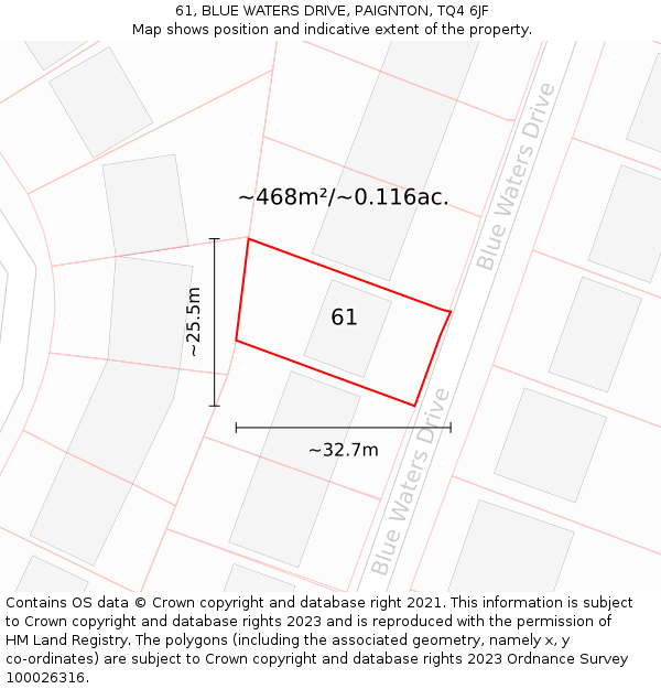 61, BLUE WATERS DRIVE, PAIGNTON, TQ4 6JF: Plot and title map