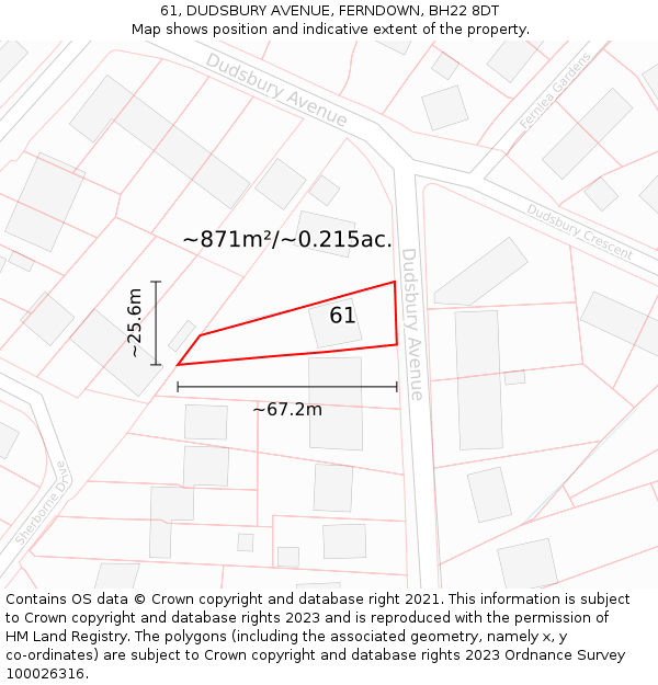 61, DUDSBURY AVENUE, FERNDOWN, BH22 8DT: Plot and title map