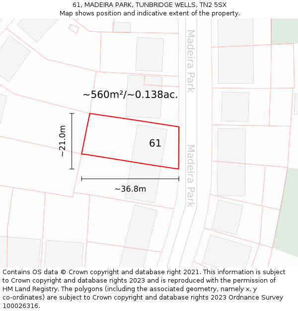 61, MADEIRA PARK, TUNBRIDGE WELLS, TN2 5SX: Plot and title map