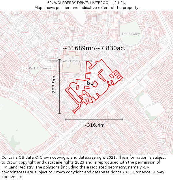 61, WOLFBERRY DRIVE, LIVERPOOL, L11 1JU: Plot and title map