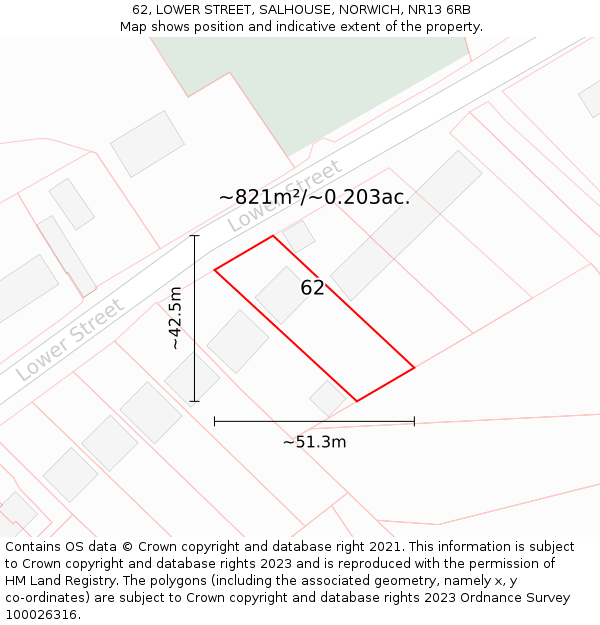 62, LOWER STREET, SALHOUSE, NORWICH, NR13 6RB: Plot and title map