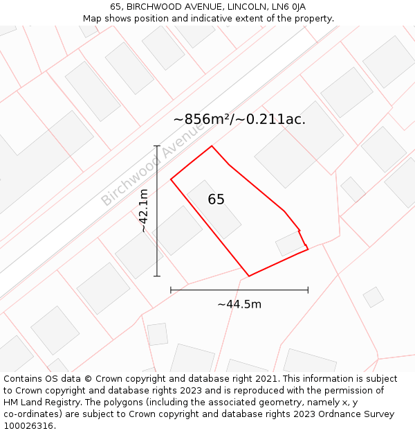 65, BIRCHWOOD AVENUE, LINCOLN, LN6 0JA: Plot and title map