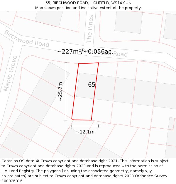 65, BIRCHWOOD ROAD, LICHFIELD, WS14 9UN: Plot and title map