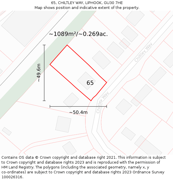 65, CHILTLEY WAY, LIPHOOK, GU30 7HE: Plot and title map
