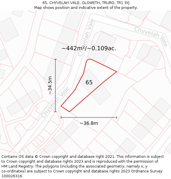 65, CHYVELAH VALE, GLOWETH, TRURO, TR1 3YJ: Plot and title map