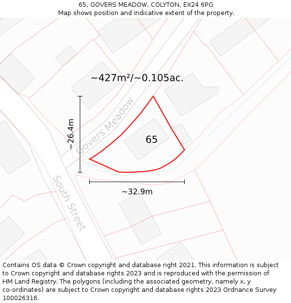 65, GOVERS MEADOW, COLYTON, EX24 6PG: Plot and title map