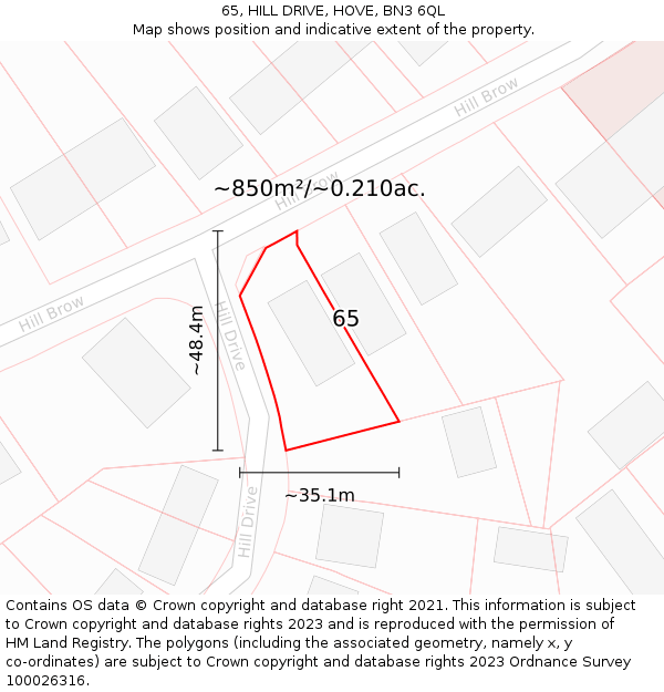 65, HILL DRIVE, HOVE, BN3 6QL: Plot and title map