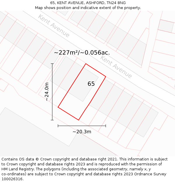 65, KENT AVENUE, ASHFORD, TN24 8NG: Plot and title map